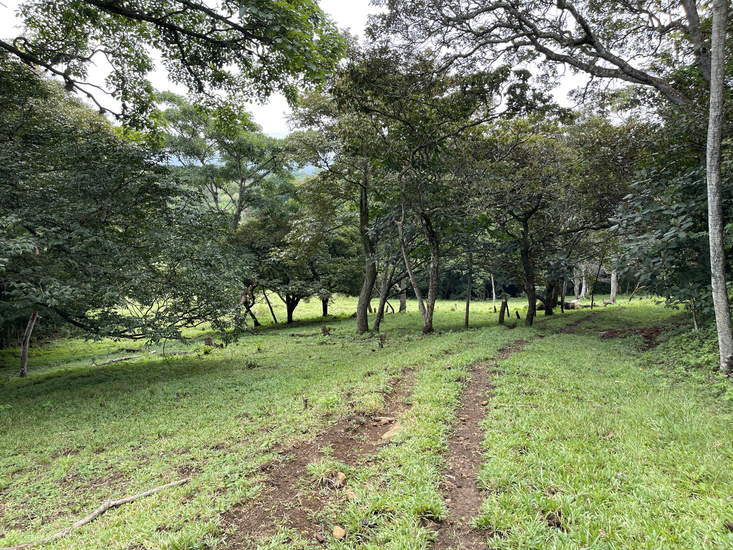 Development land for sale La Garita Alajuela 6.2 hectares